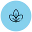 Feature icon